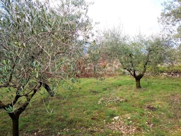 terreno agricolo in vendita a Monte San Giovanni Campano
