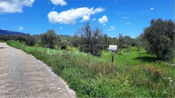 terreno agricolo in vendita a Monte San Giovanni Campano