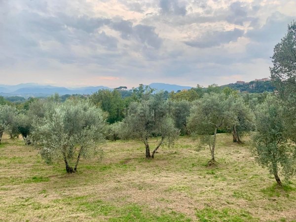 terreno agricolo in vendita a Monte San Giovanni Campano in zona Colli