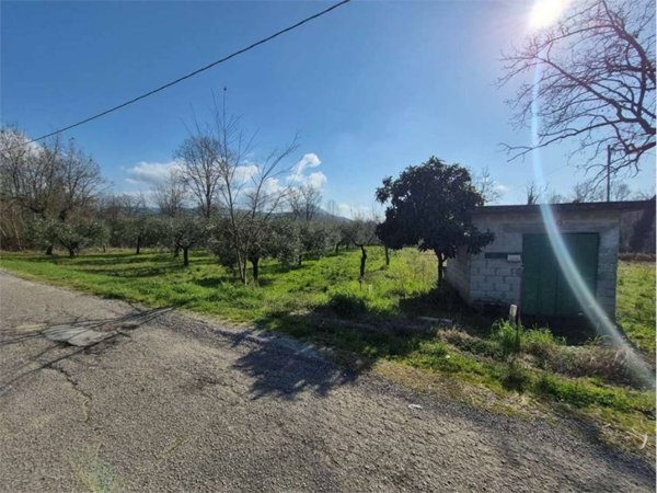 terreno agricolo in vendita a Monte San Giovanni Campano