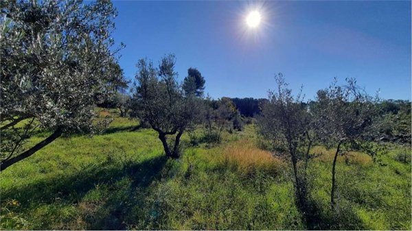 terreno in vendita a Monte San Giovanni Campano