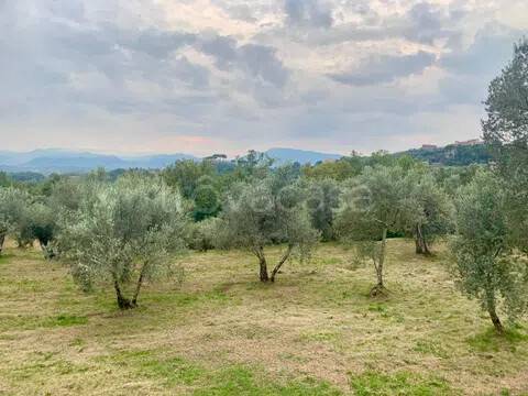 terreno in vendita a Monte San Giovanni Campano in zona Colli