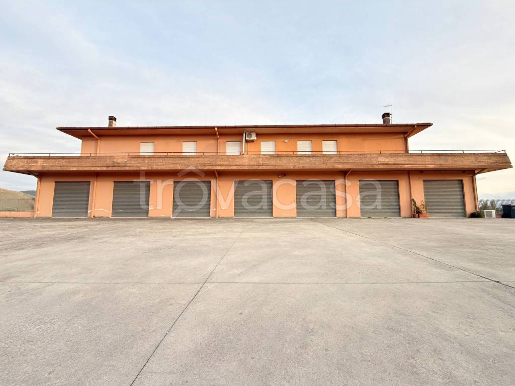 quadrivano in vendita a Monte San Giovanni Campano in zona Colli