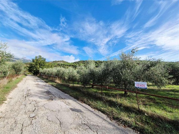 terreno agricolo in vendita a Monte San Giovanni Campano