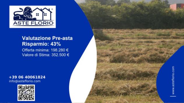 terreno agricolo in vendita a Morolo