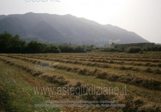 terreno agricolo in vendita a Morolo