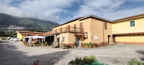 casa indipendente in vendita a Morolo