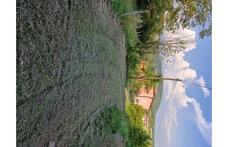 casa indipendente in vendita a Morolo