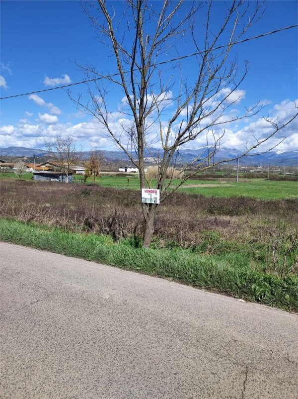 terreno agricolo in vendita a Morolo