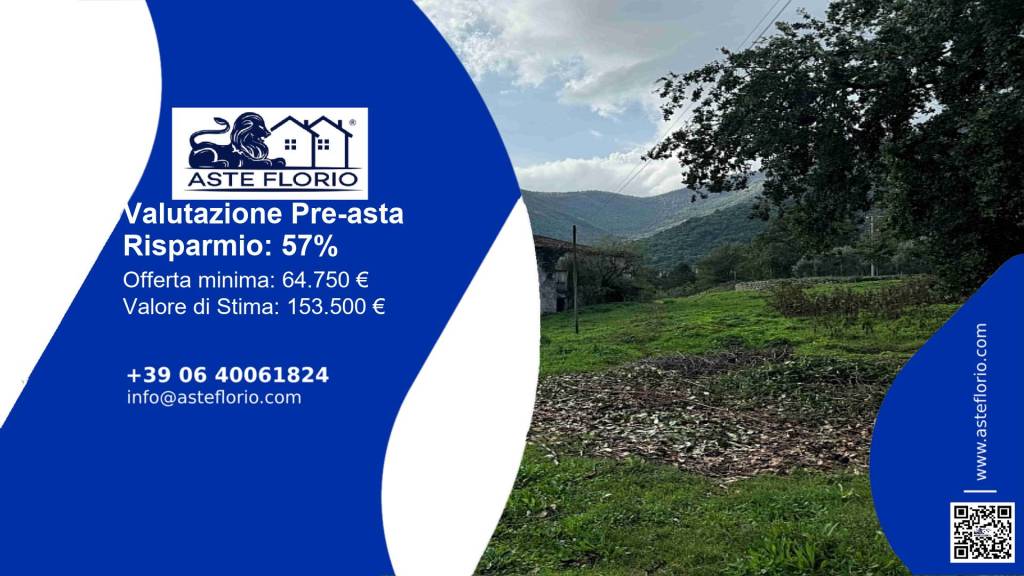 terreno agricolo in vendita a Morolo