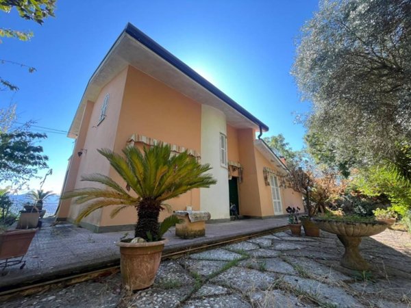 casa indipendente in vendita a Morolo