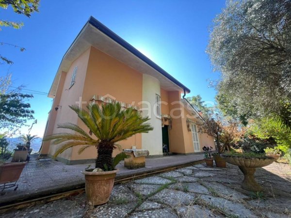 casa indipendente in vendita a Morolo