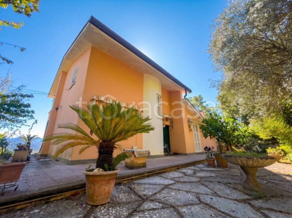 casa indipendente in vendita a Morolo