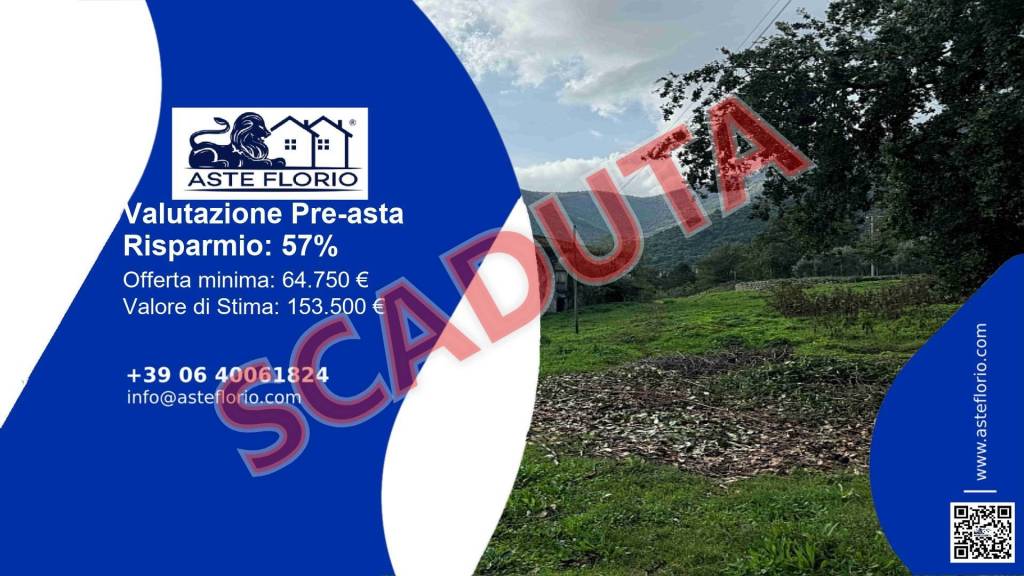 terreno agricolo in vendita a Morolo