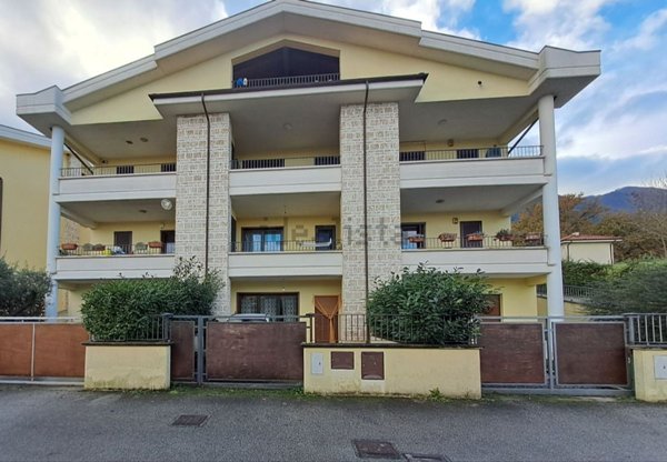 casa indipendente in vendita a Morolo