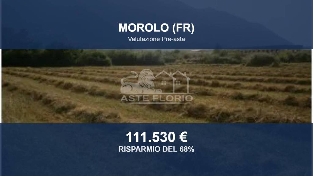 terreno agricolo in vendita a Morolo