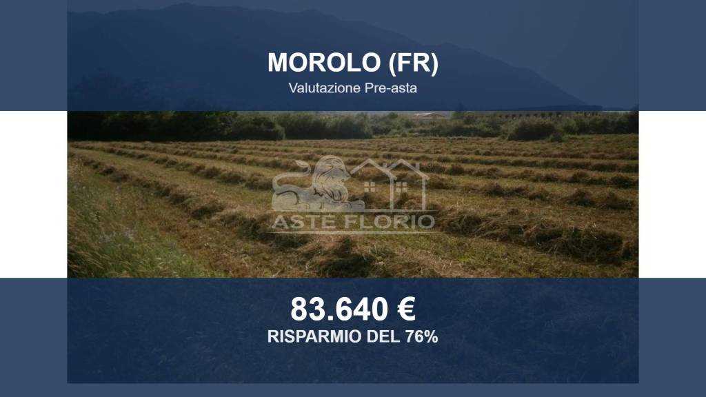 terreno agricolo in vendita a Morolo