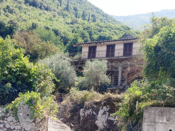 immagine annuncio 0 di 15