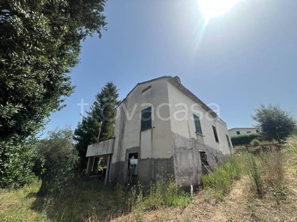 casa indipendente in vendita a Morolo