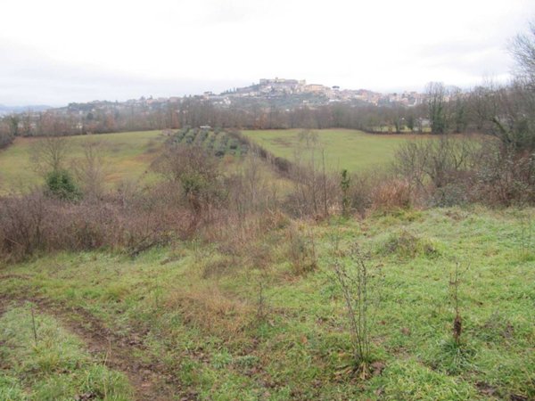 terreno agricolo in vendita a Paliano