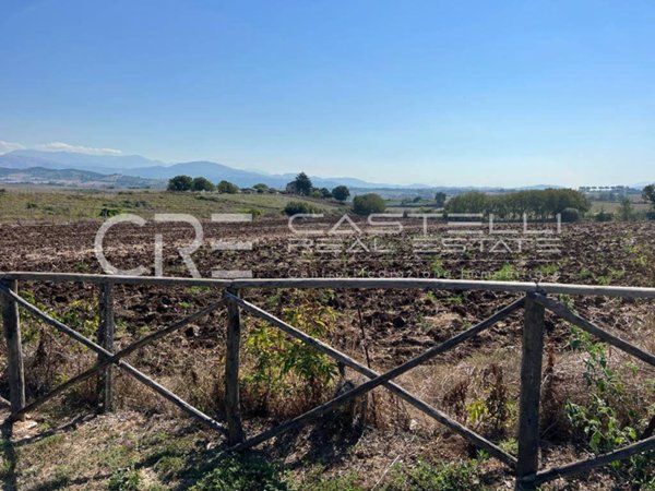 terreno agricolo in vendita a Paliano