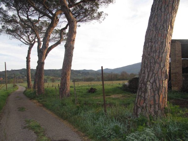 terreno agricolo in vendita a Paliano
