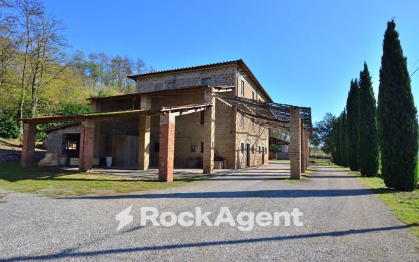casa indipendente in vendita a Paliano