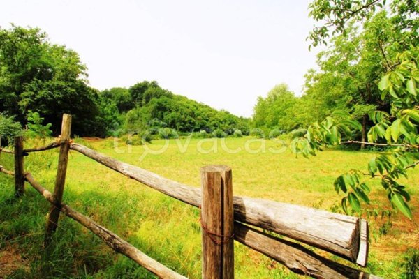 terreno agricolo in vendita a Paliano