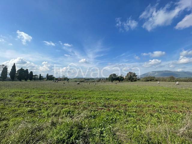 terreno agricolo in vendita a Paliano