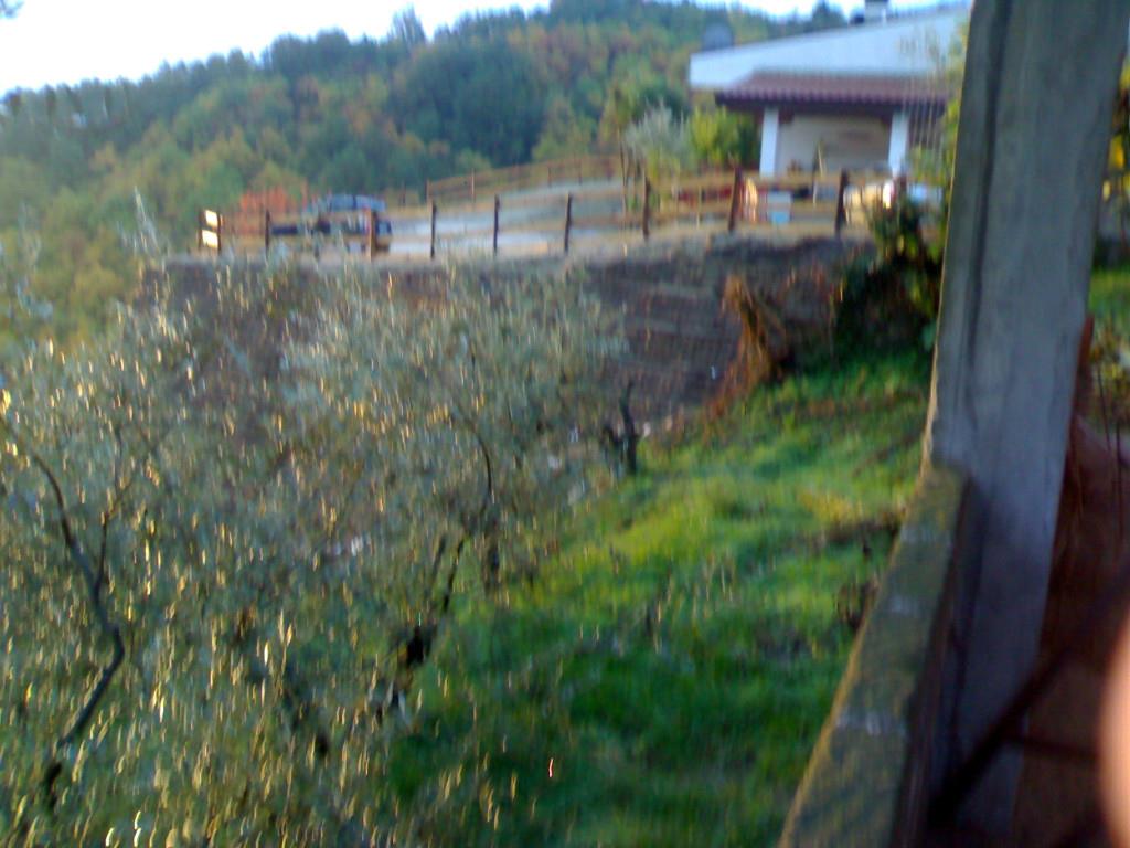 casa indipendente in vendita a Paliano