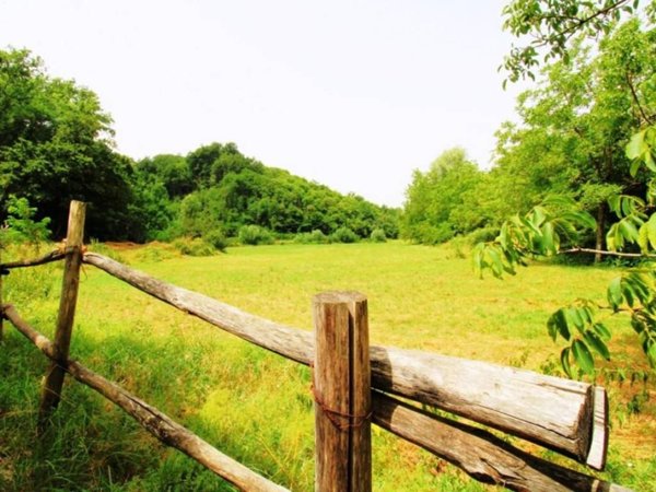 terreno agricolo in vendita a Paliano