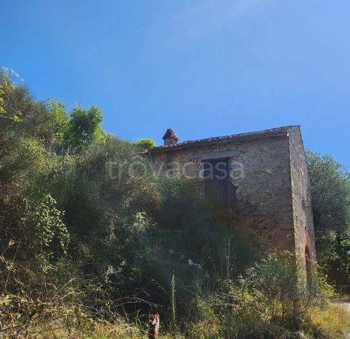 terreno agricolo in vendita a Paliano