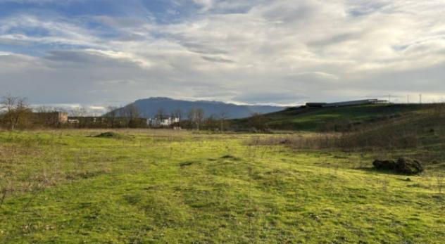 terreno agricolo in vendita a Paliano in zona Castellaccio