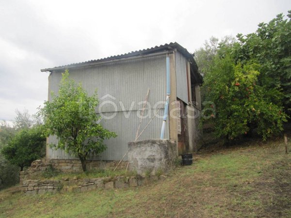 terreno agricolo in vendita a Paliano