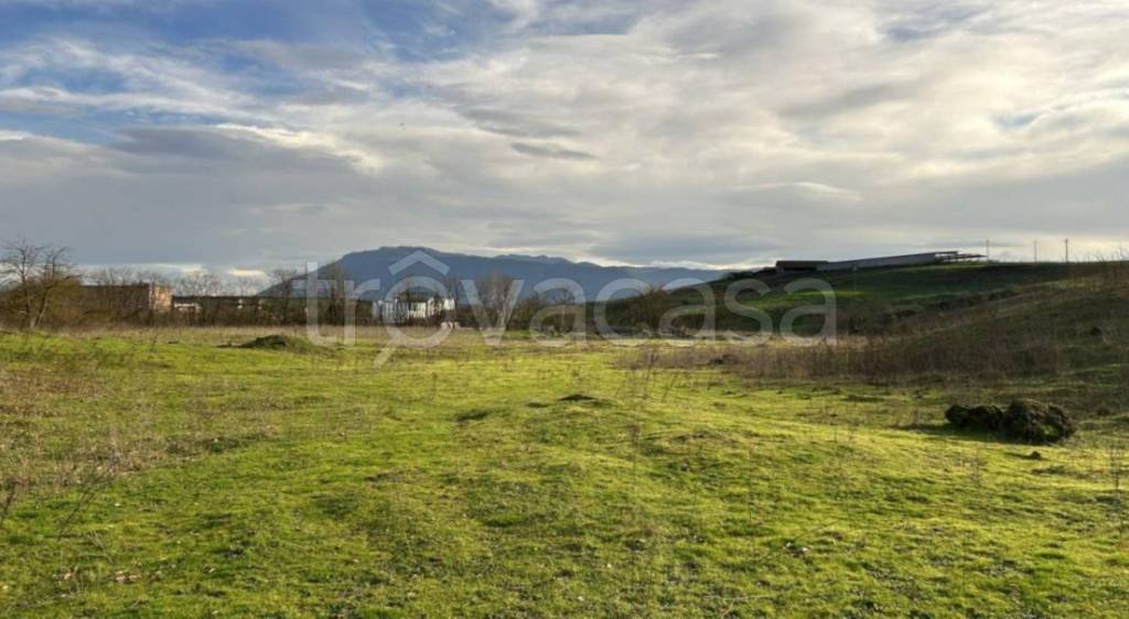 terreno agricolo in vendita a Paliano in zona Castellaccio