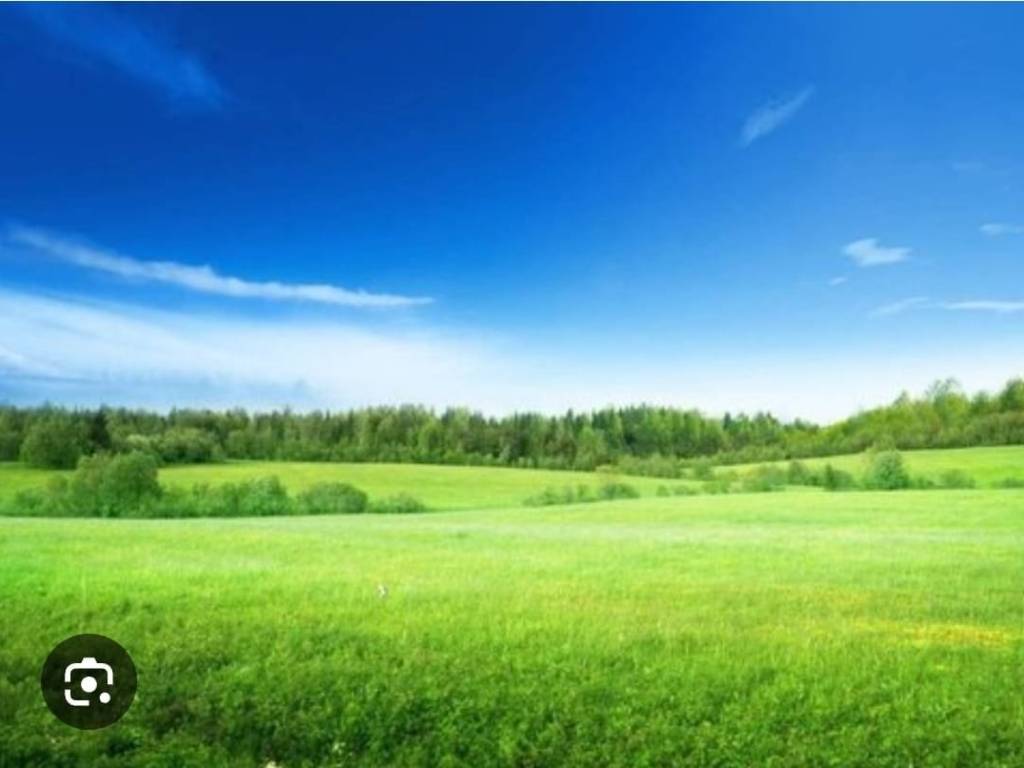 terreno agricolo in vendita a Paliano in zona Poggio Romano