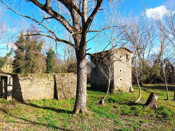 terreno agricolo in vendita a Paliano