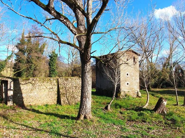 terreno agricolo in vendita a Paliano
