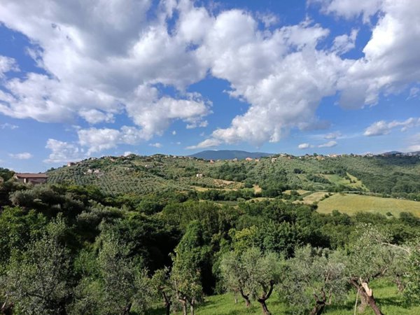 casa indipendente in vendita a Paliano