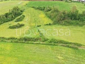 terreno agricolo in vendita a Paliano