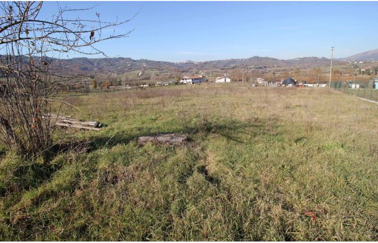 terreno agricolo in vendita a Paliano