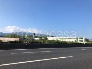 terreno agricolo in vendita a Paliano