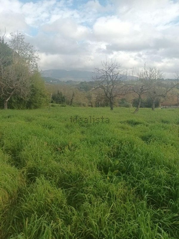 terreno edificabile in vendita a Paliano
