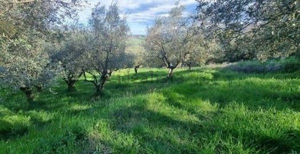 casa indipendente in vendita a Paliano