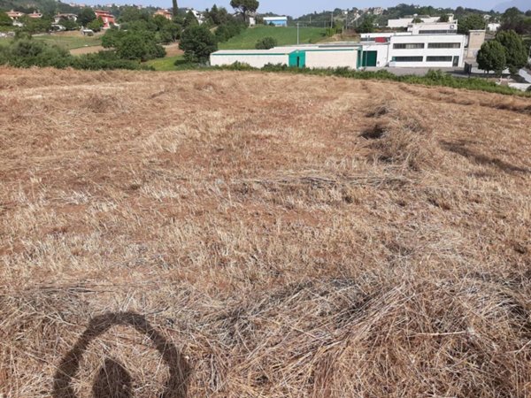 terreno industriale in vendita a Paliano