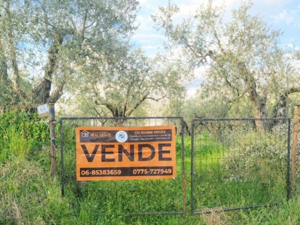 casa indipendente in vendita a Paliano in zona Colle Mortola