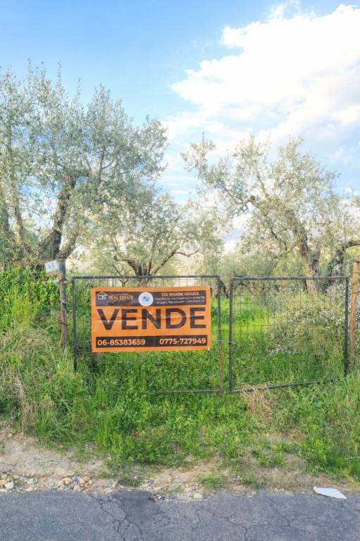 casa indipendente in vendita a Paliano in zona Colle Mortola