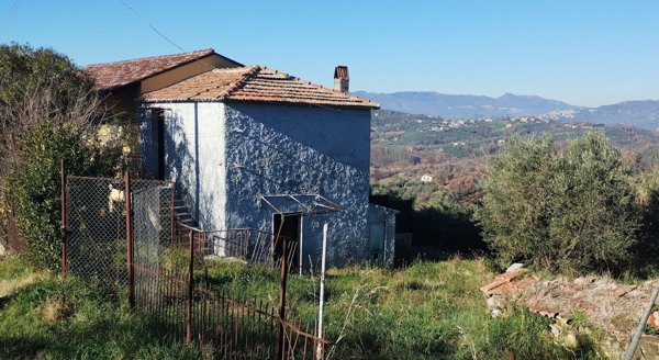 appartamento in vendita a Paliano