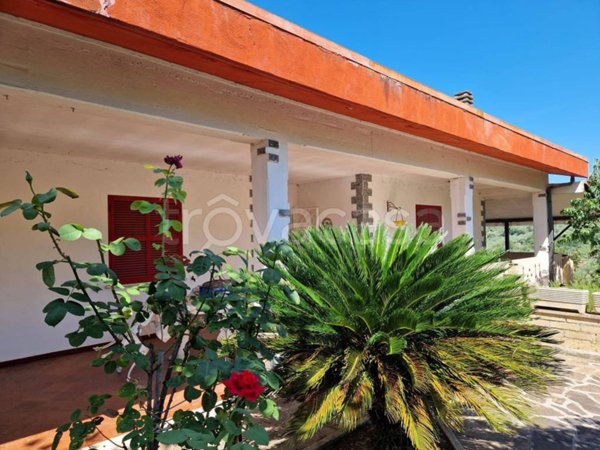 casa indipendente in vendita a Paliano