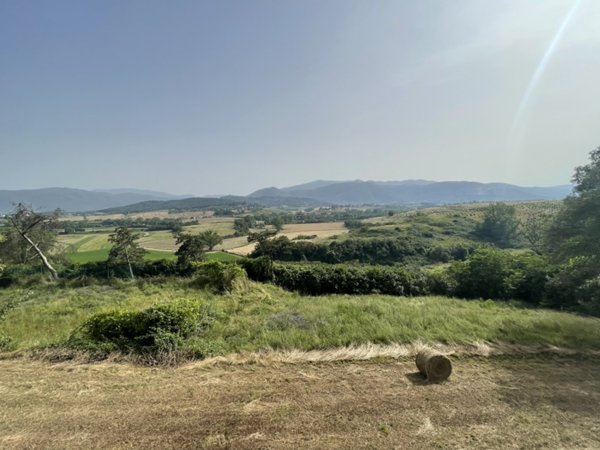 immagine annuncio 0 di 10